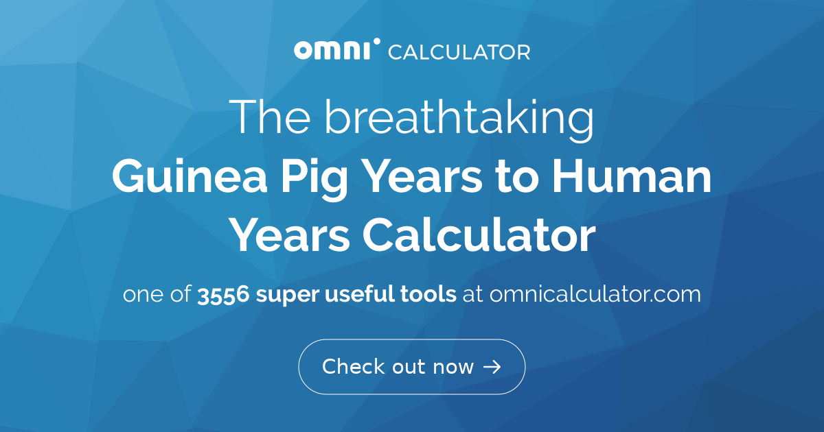 Calculate guinea pig age in human years (equivalence)